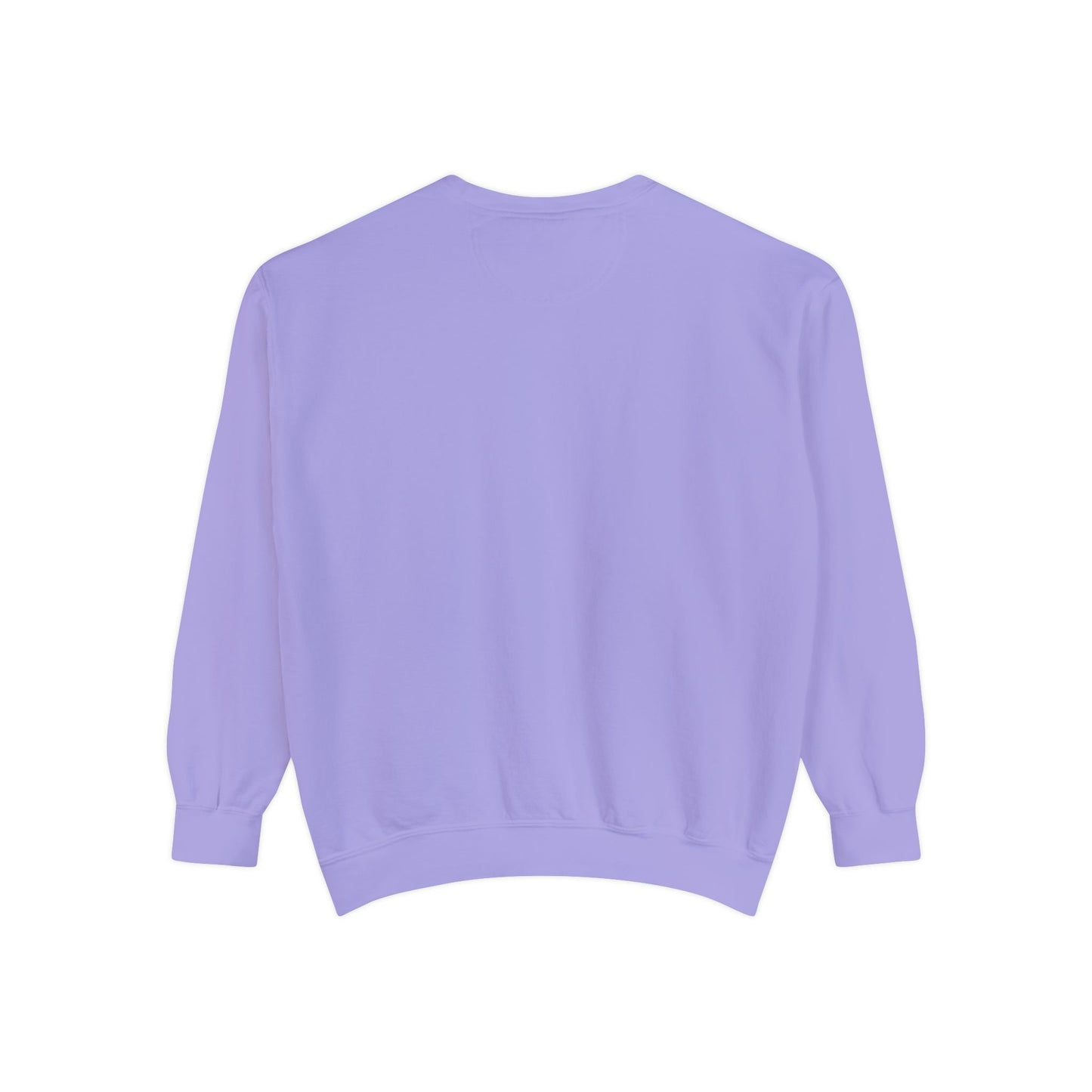 IDWW Unisex Garment-Dyed Sweatshirt