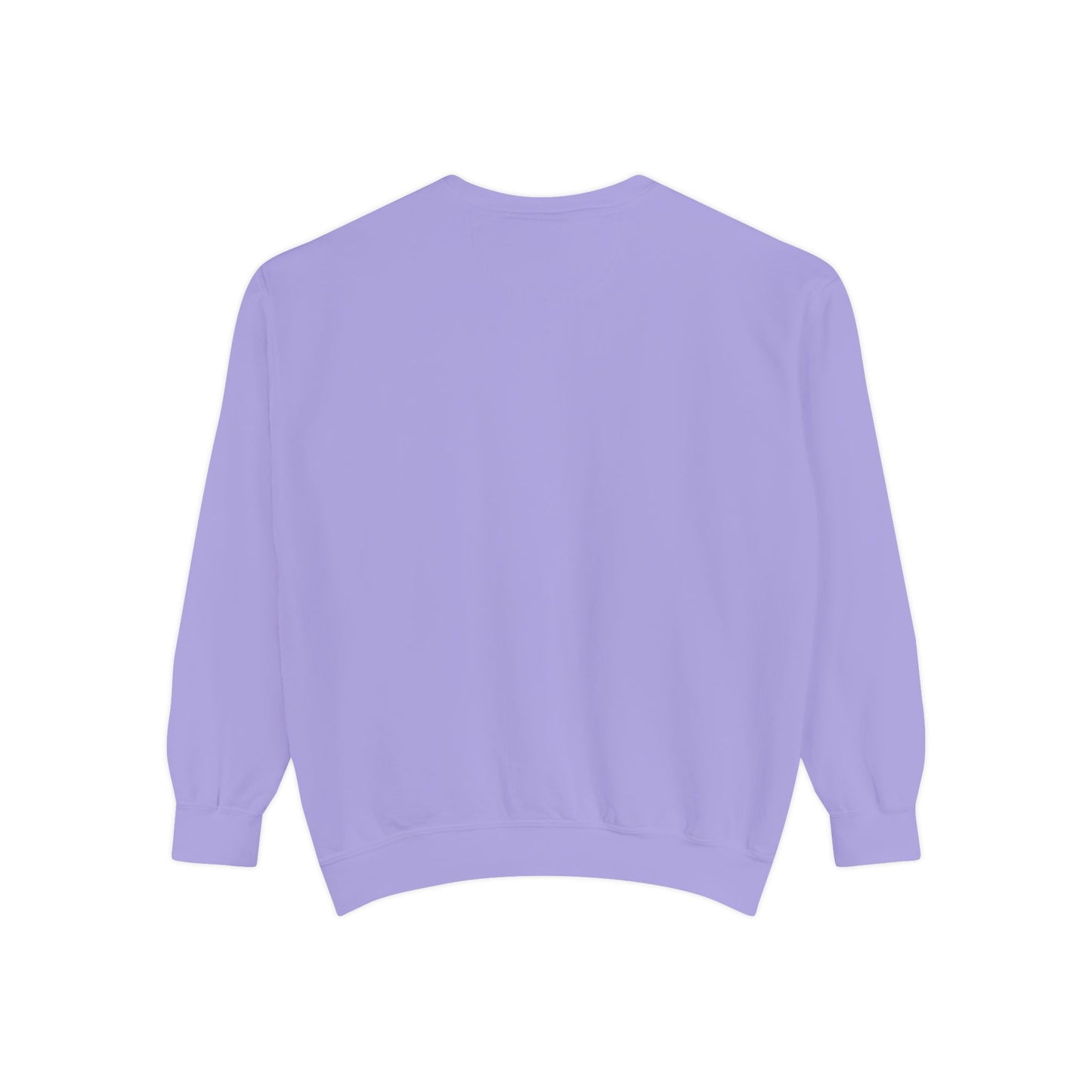 IDWW Unisex Garment-Dyed Sweatshirt