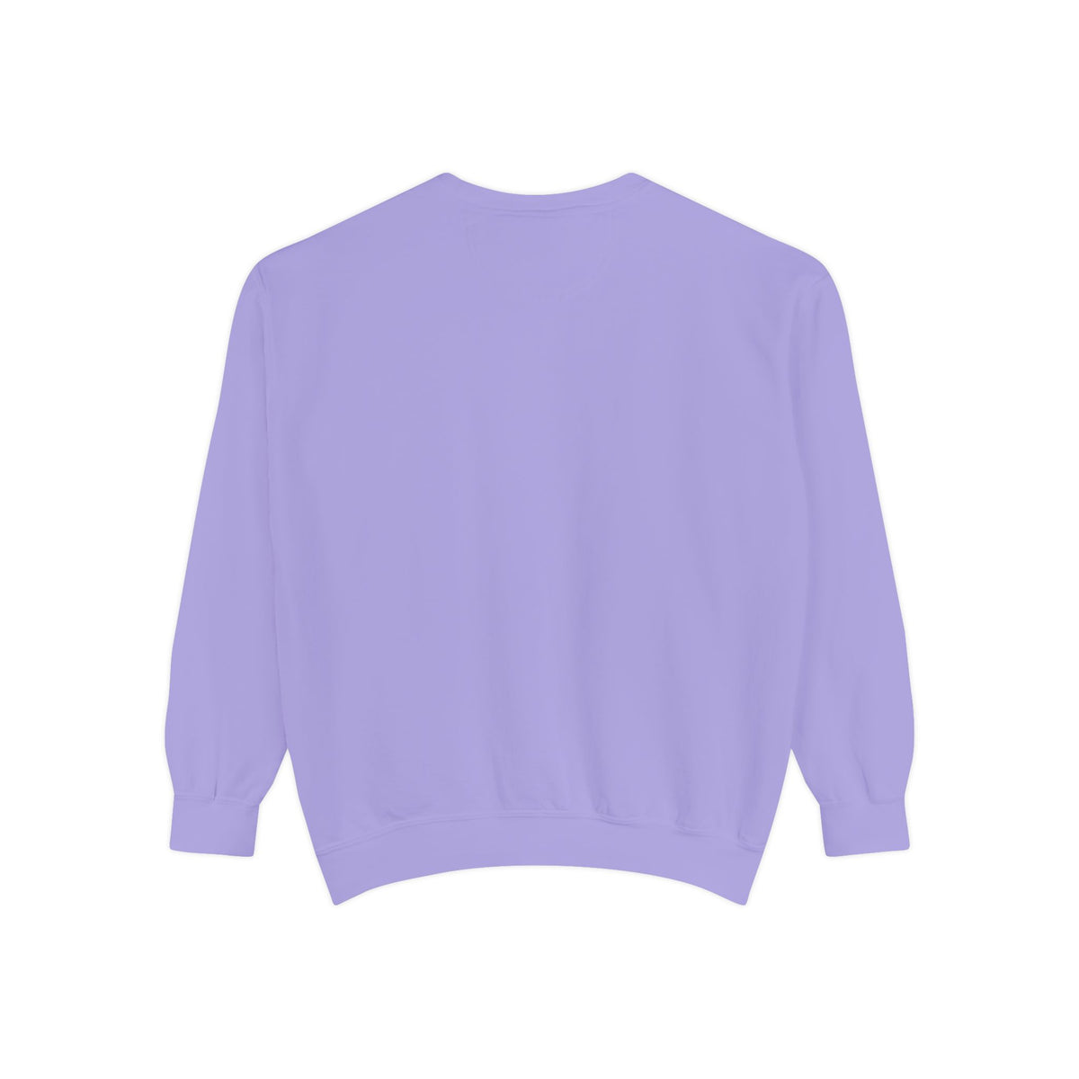 IDWW Unisex Garment-Dyed Sweatshirt