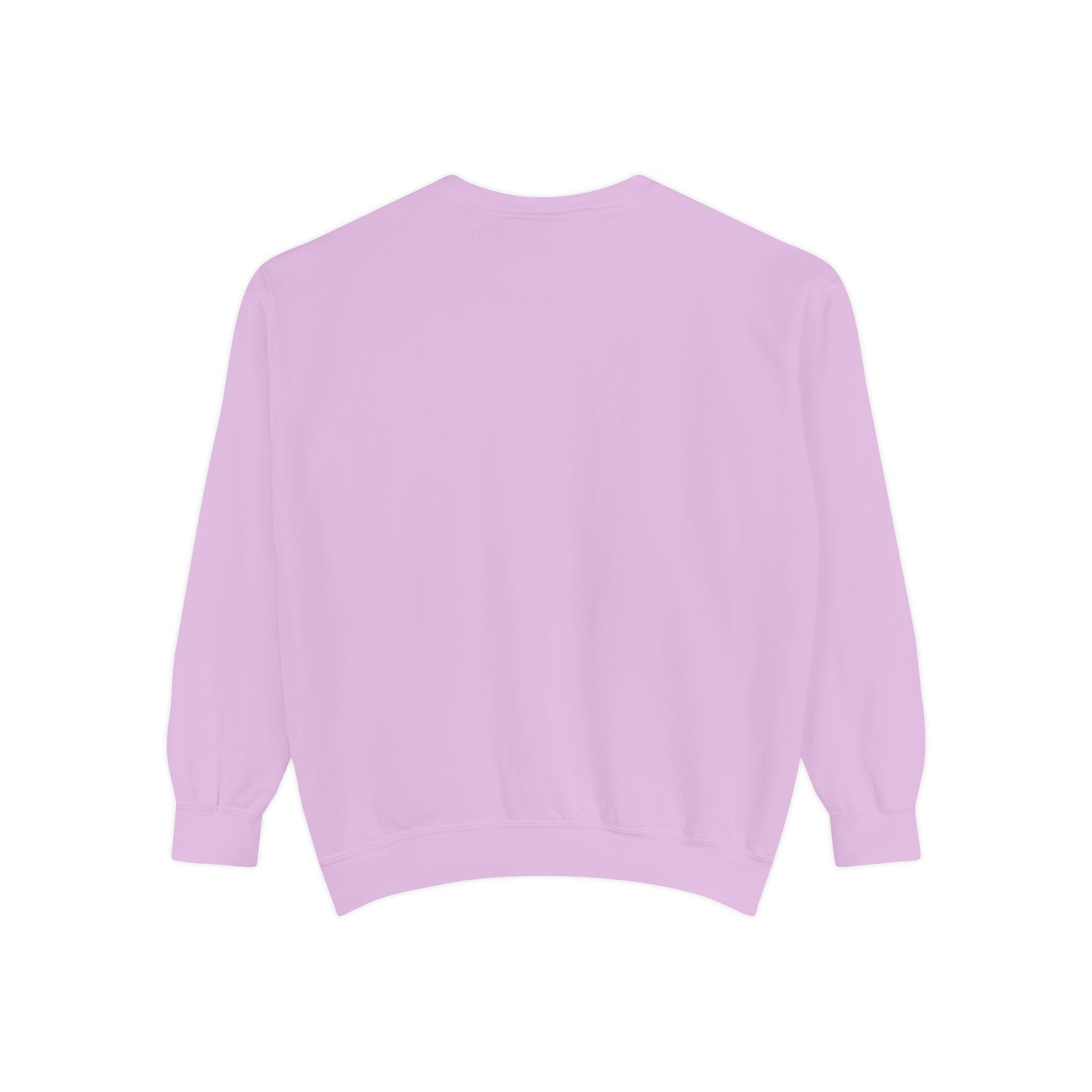 IDWW Unisex Garment-Dyed Sweatshirt
