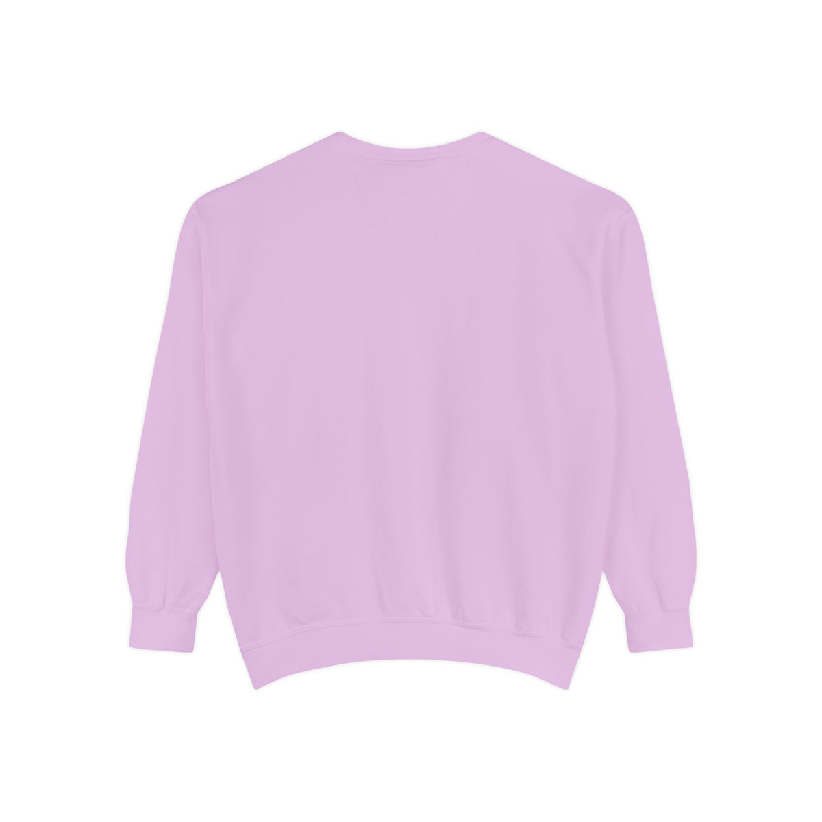 IDWW Unisex Garment-Dyed Sweatshirt
