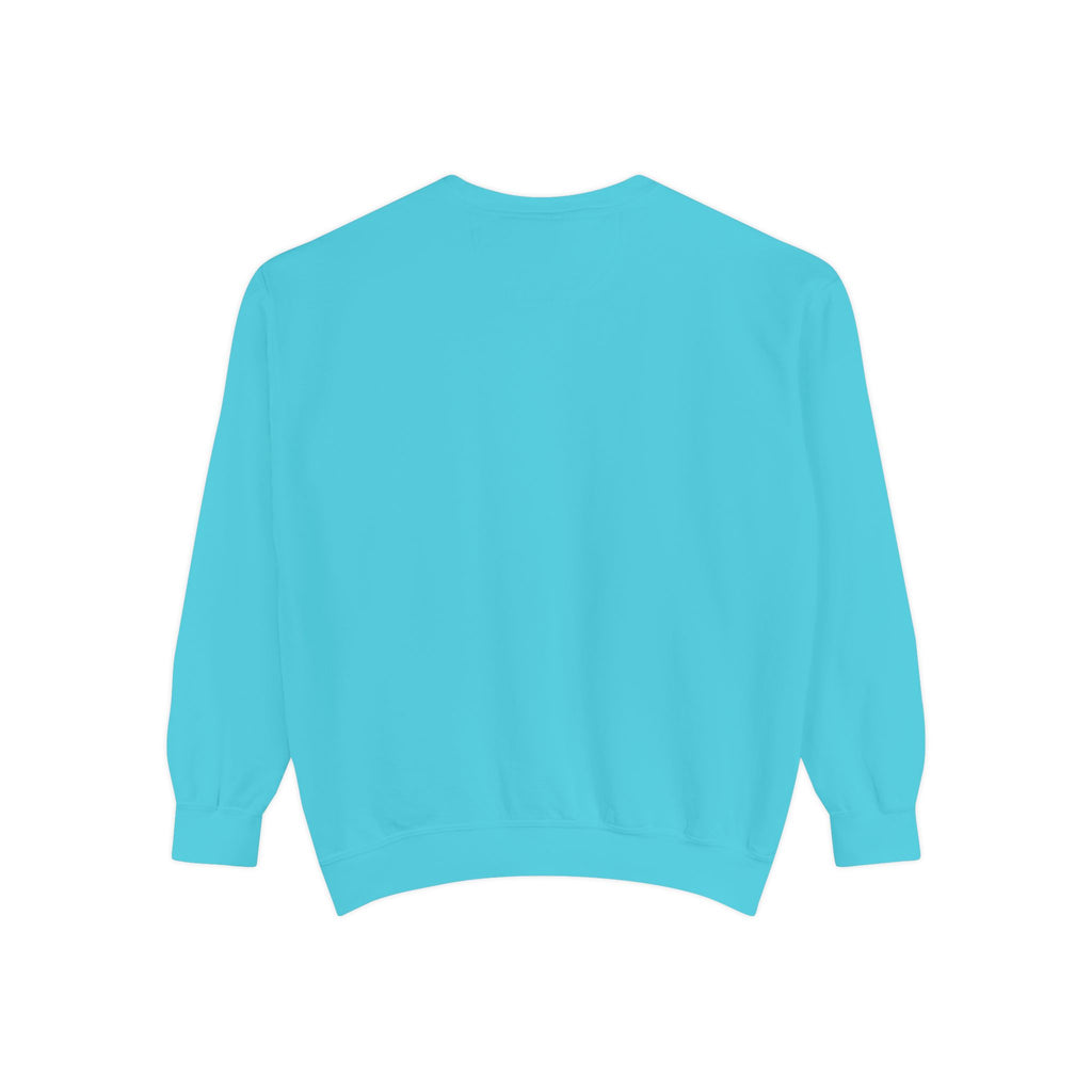 IDWW Unisex Garment-Dyed Sweatshirt