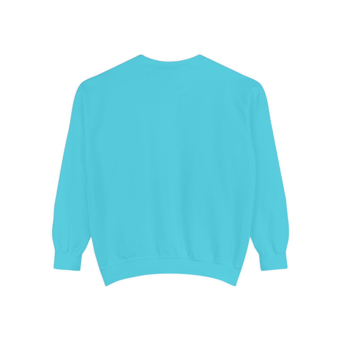 IDWW Unisex Garment-Dyed Sweatshirt