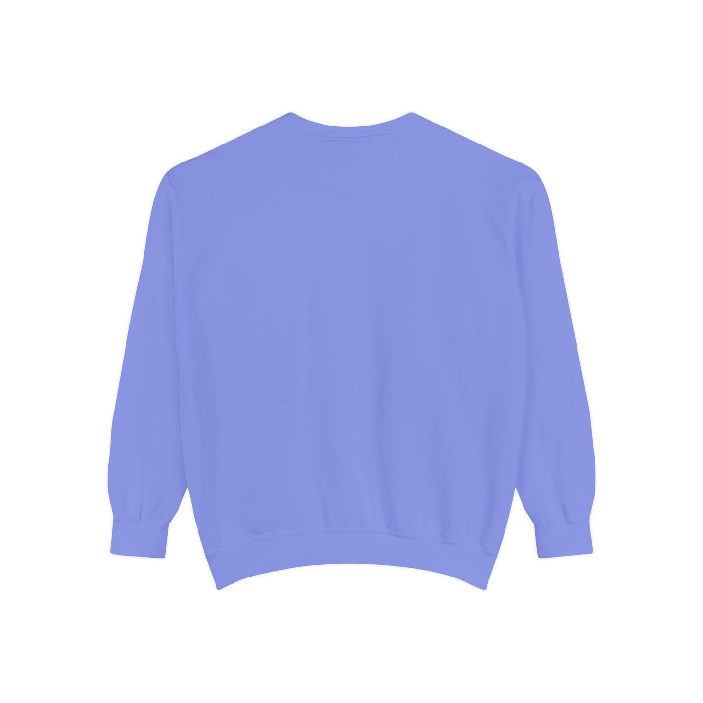 IDWW Unisex Garment-Dyed Sweatshirt