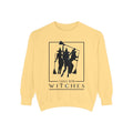 IDWW Unisex Garment-Dyed Sweatshirt