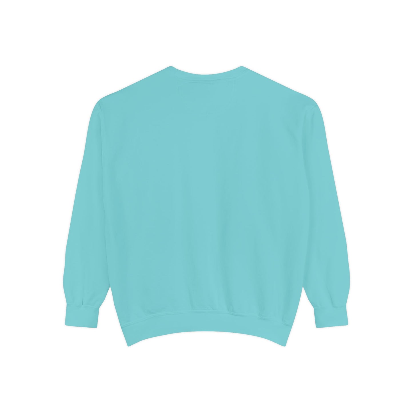 IDWW Unisex Garment-Dyed Sweatshirt