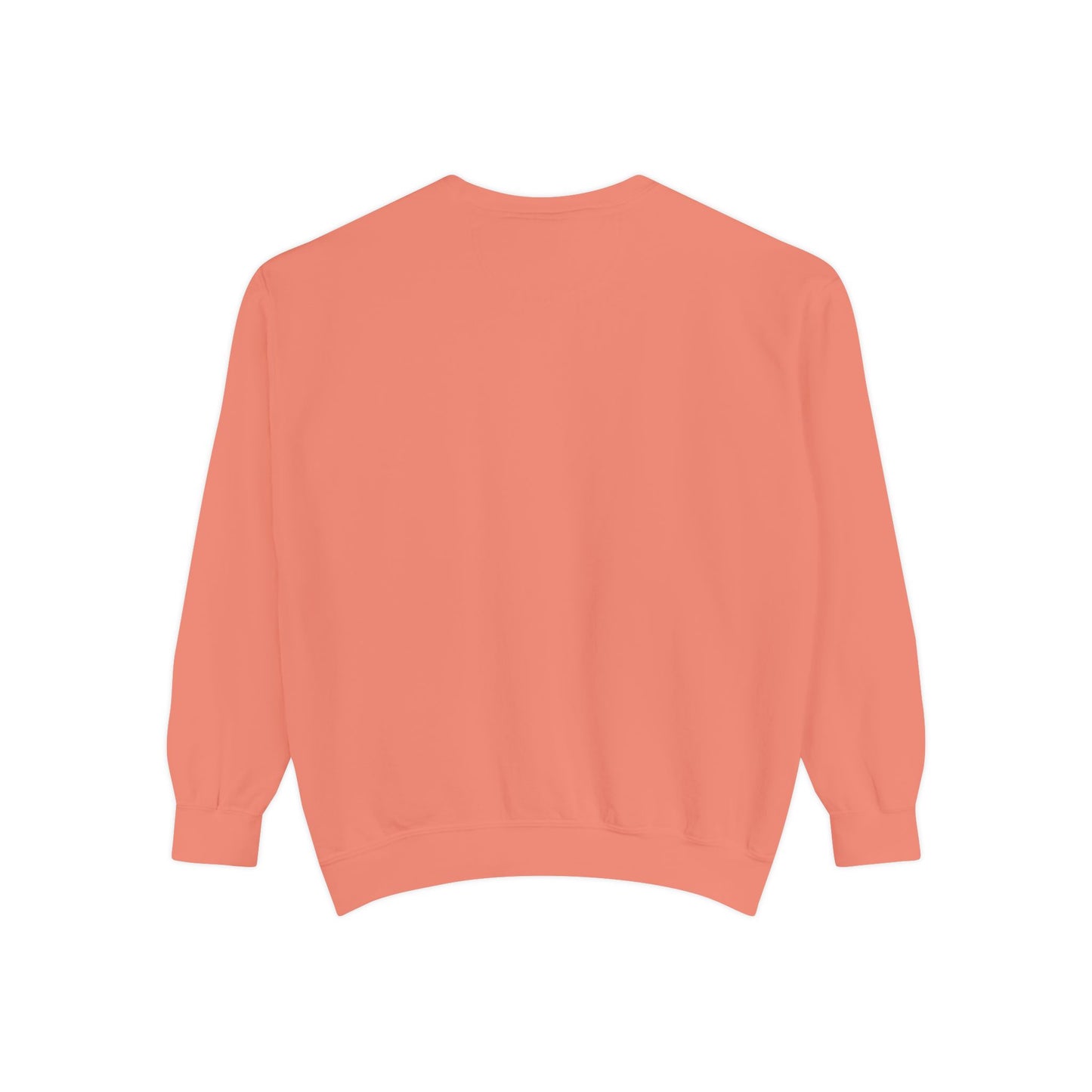 IDWW Unisex Garment-Dyed Sweatshirt