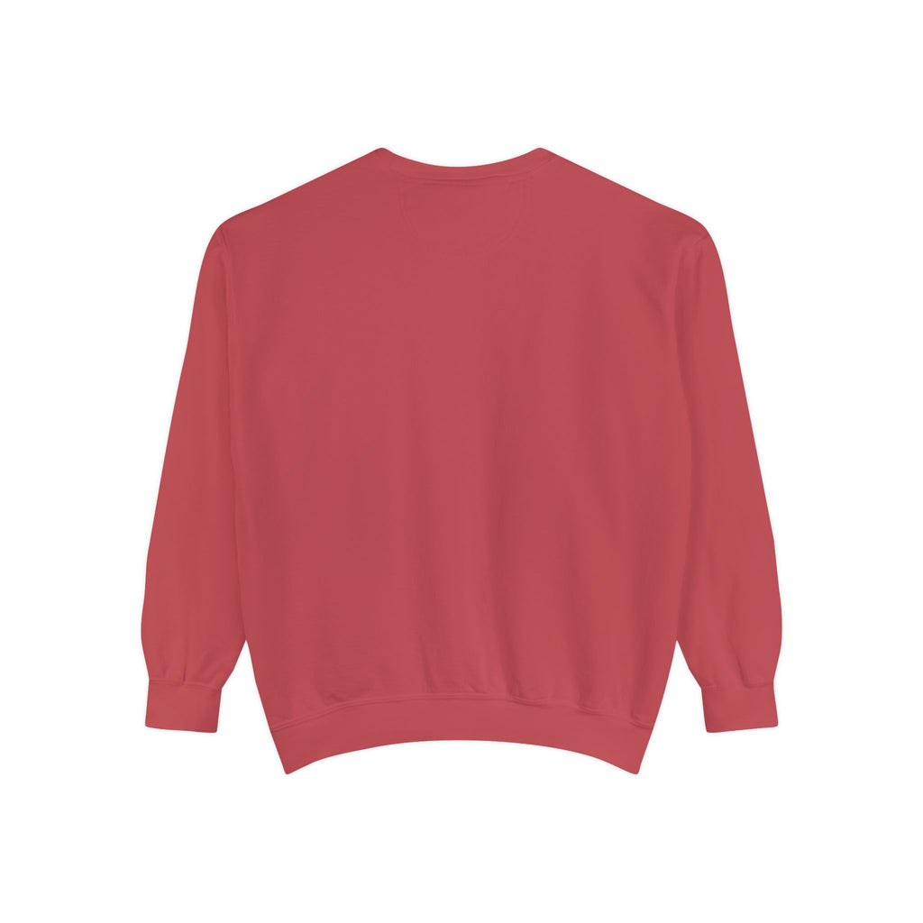 IDWW Unisex Garment-Dyed Sweatshirt