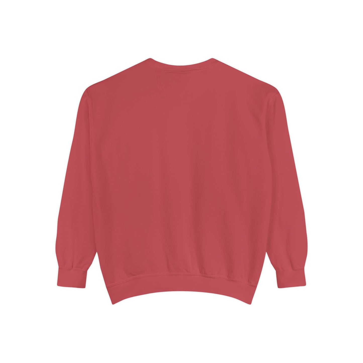 IDWW Unisex Garment-Dyed Sweatshirt
