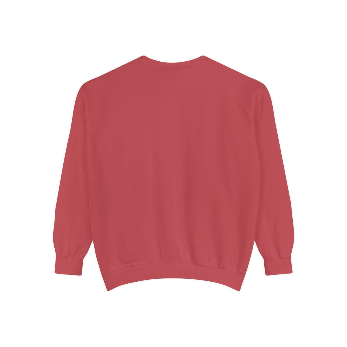 IDWW Unisex Garment-Dyed Sweatshirt